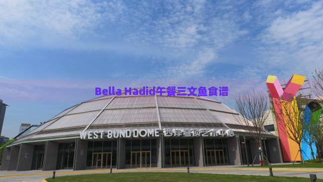 Bella Hadid午餐三文鱼食谱