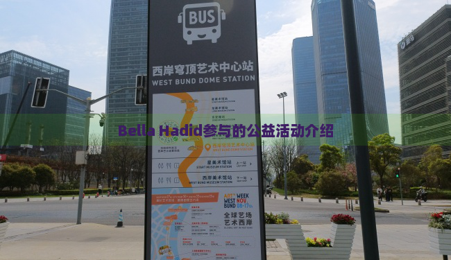 Bella Hadid参与的公益活动介绍